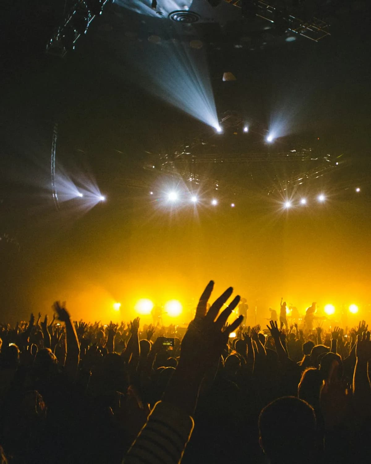Placeholder: a crowd with raised hands under stage lights at a concert.